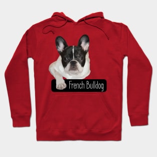 French Bulldog Hoodie